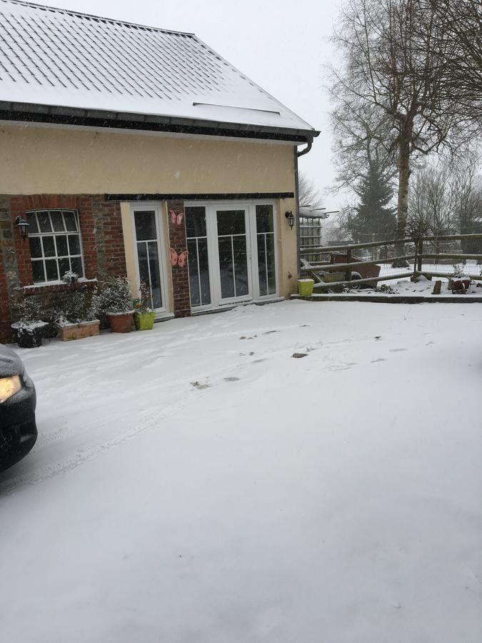The Cottage And The Loft Ambleve ภายนอก รูปภาพ